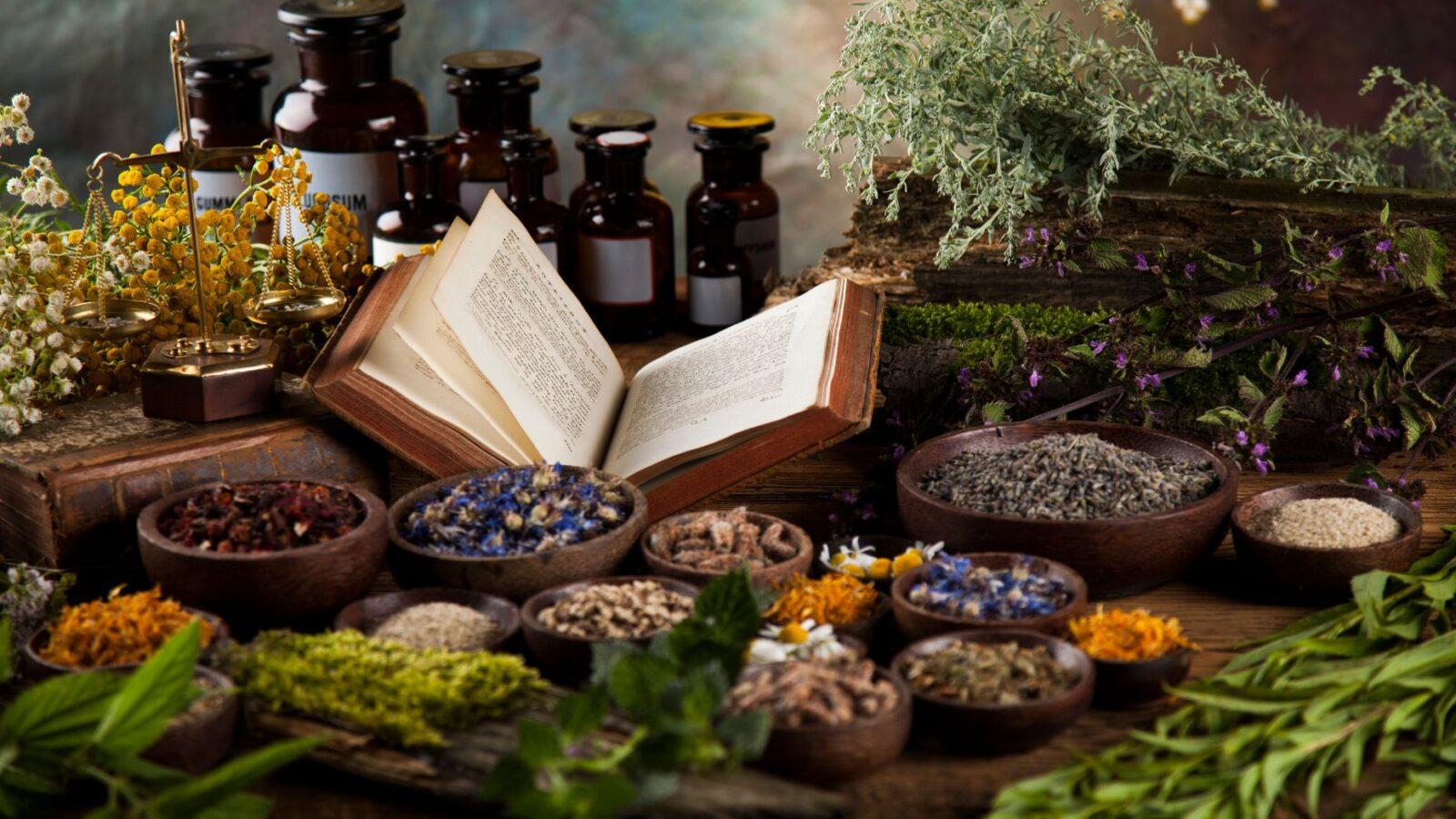 Learn Herbal Wisdom with the Archetypes
