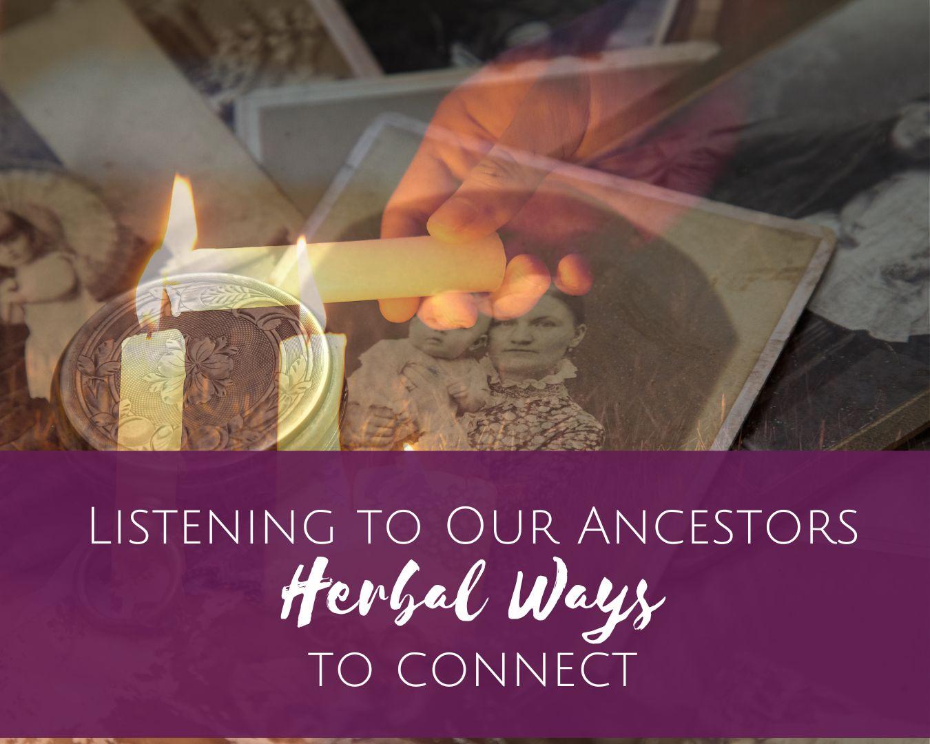 Listening to our Ancestors: Herbal Ways to Connect