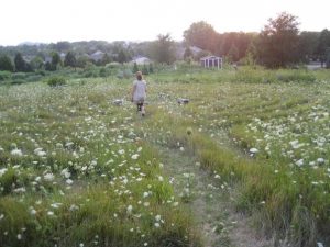 Erin in a field labyrinth 