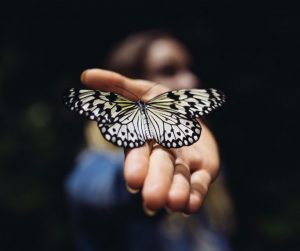 butterfly on a lady's hand