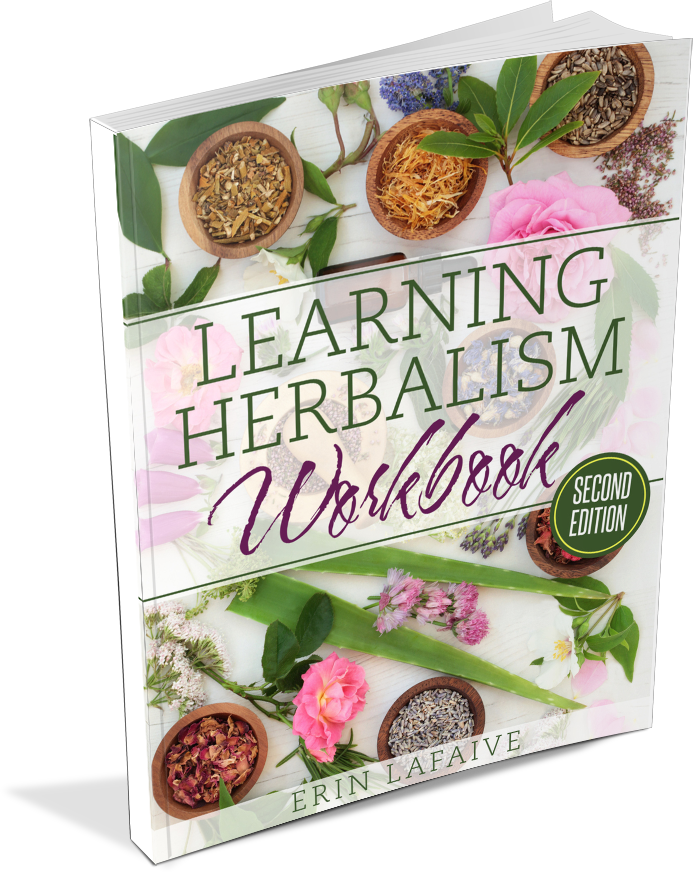 Herbology For Home Study Book Pdf / The Best Books On Foraging Wild