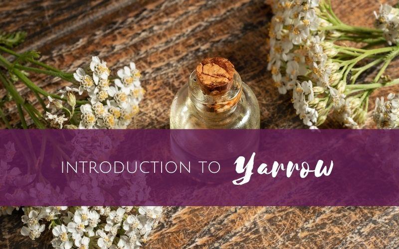 Episode 2 – Introduction to Yarrow