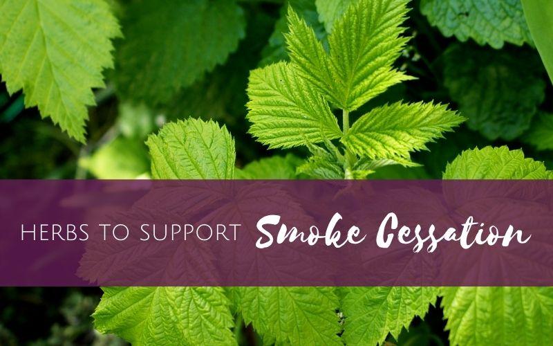 Episode 3 – Herbs to support smoke cessation