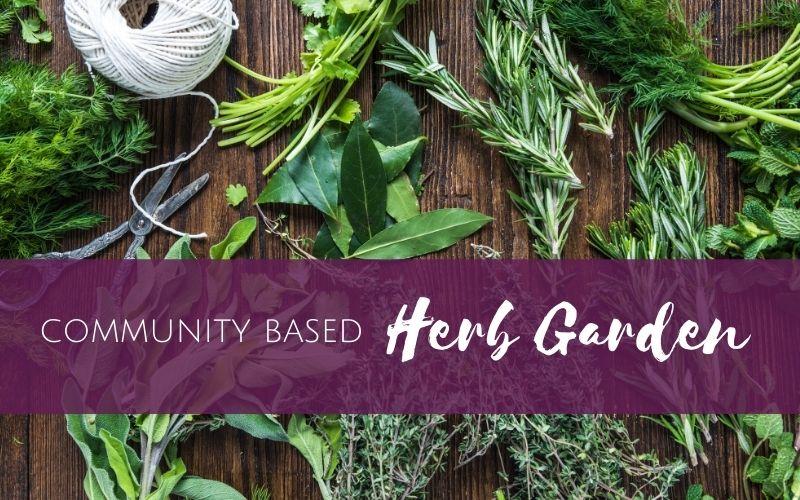 Episode 4: Community based herb garden