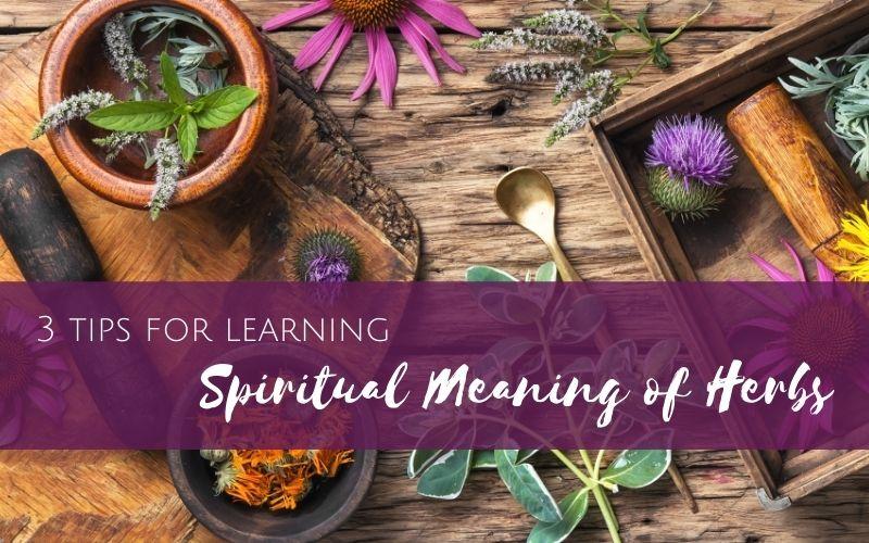 Episode 12: 3 Tips to Learn the Spiritual Meaning of Herbs