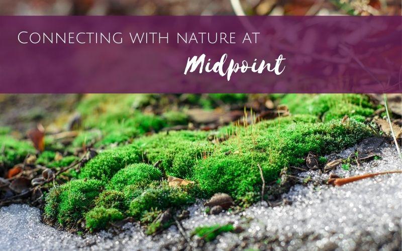 Connecting with Nature at Midpoint, moss and snow