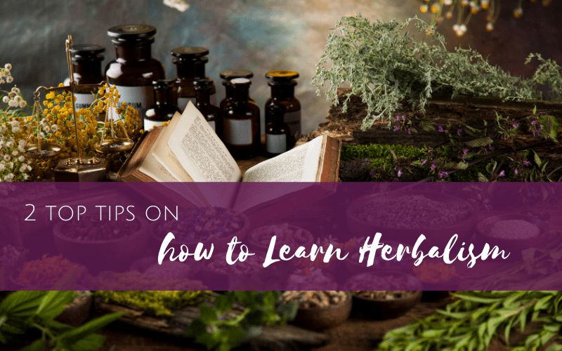 Episode 16: Two Top Tips about How to Learn Herbalism