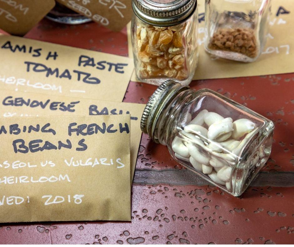 seed packets on table