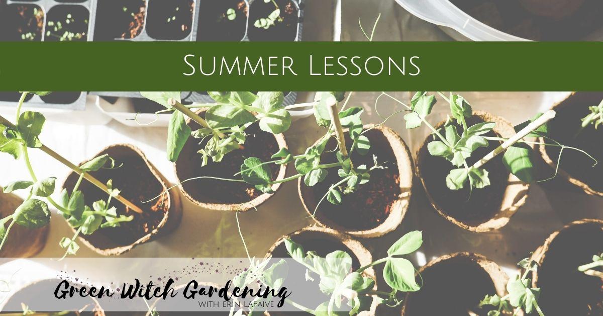 summer lessons 