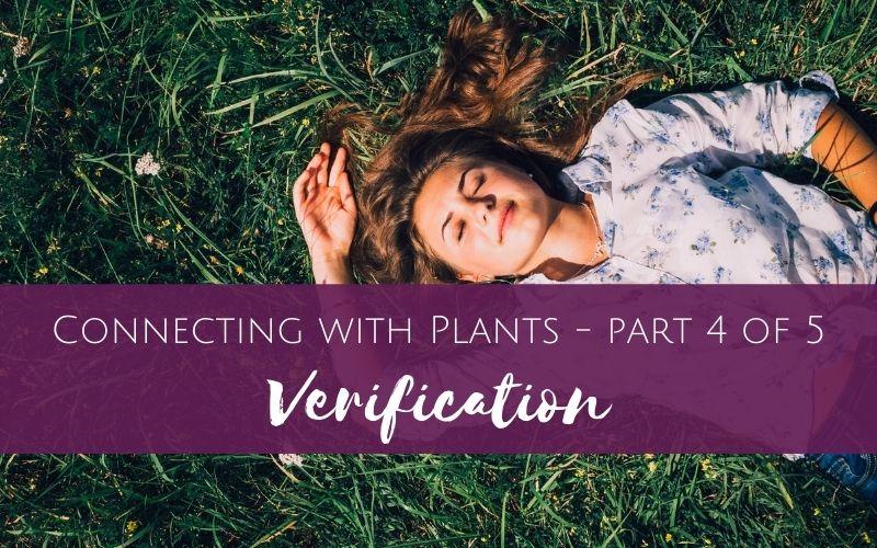 Connecting with Plants part 4 of 5 – Verification