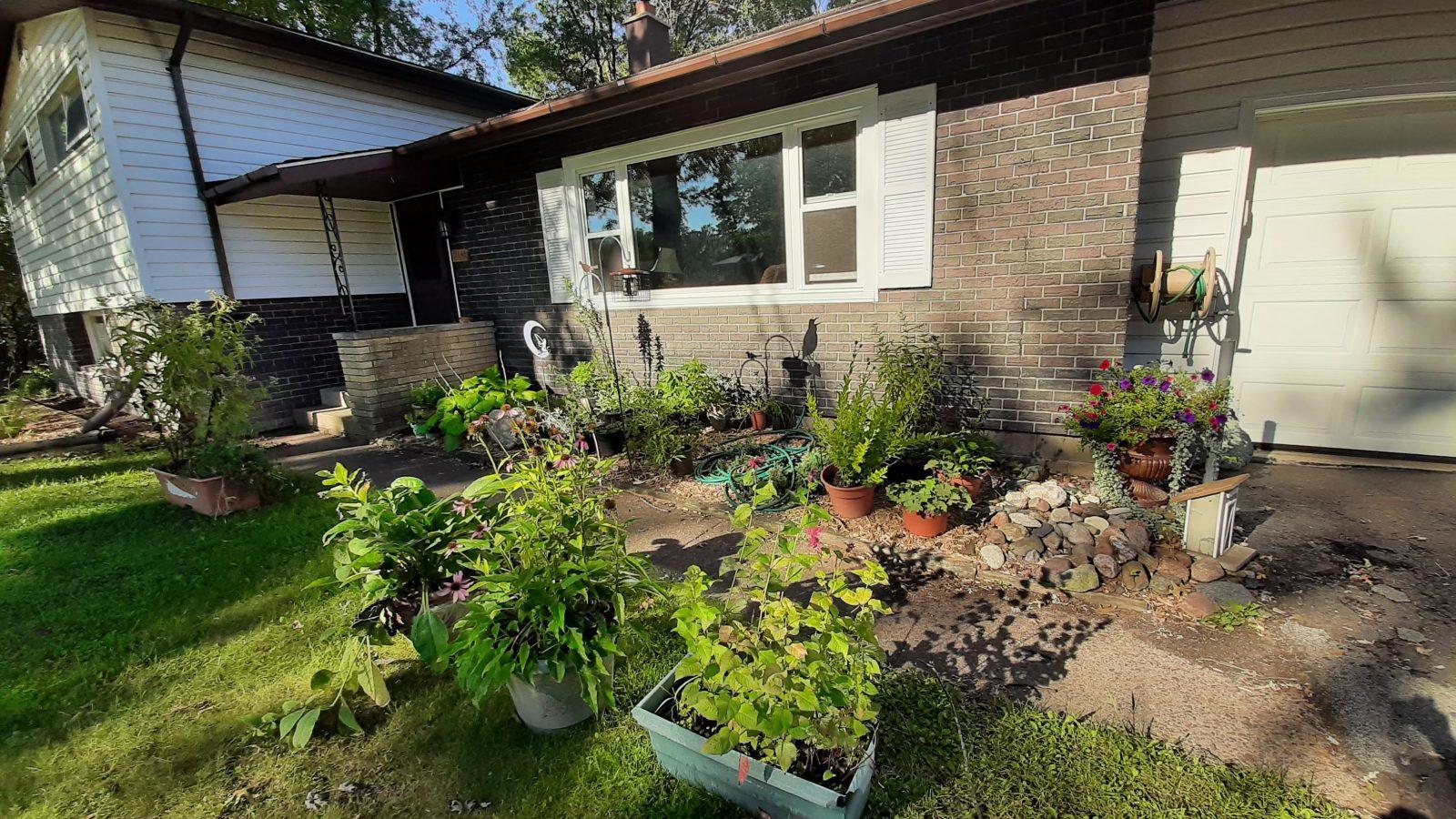 many potted plants in front of the house