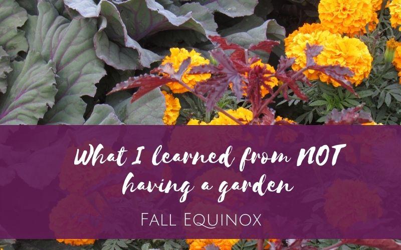 What I learned from NOT having a garden: Fall Equinox