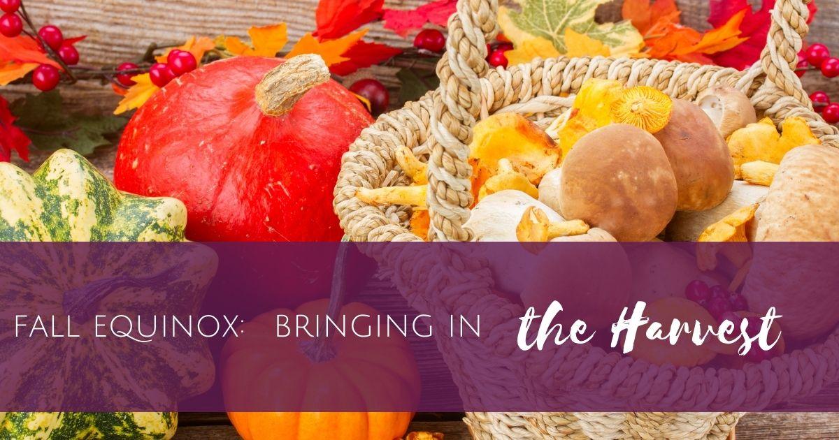 Bringing in the Harvest | Full Circle Herbals, LLC