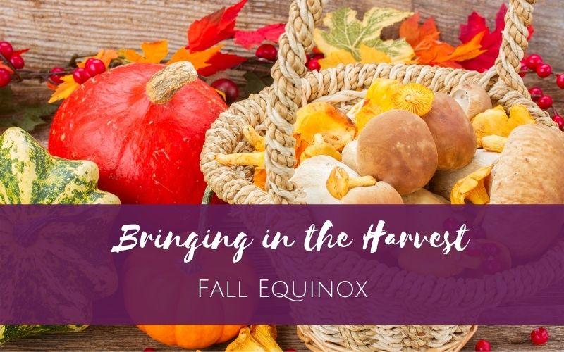 bringing in the harvest - fall equinox harvest basket and produce