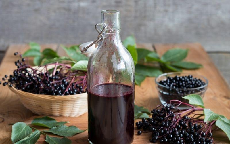 elderberry syrup and elderberries