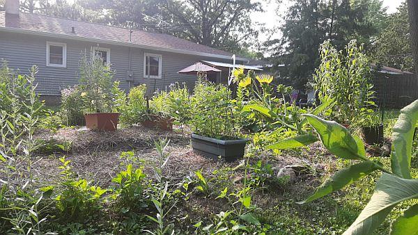 my former garden with containers