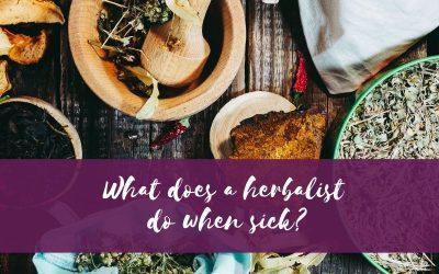 What does a herbalist do when sick?