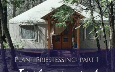 Plant Priestessing (part 1): Temples renewed | Erin LaFaive