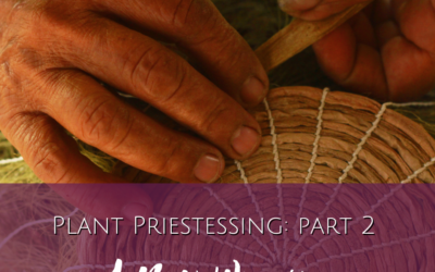 Plant Priestessing (part 2): A New Weaving