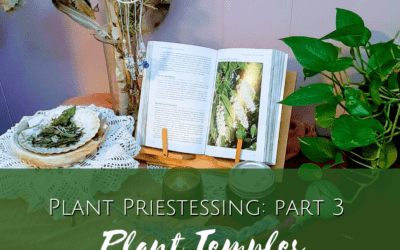 Plant Priestessing (part 3): Plant Temples | Erin LaFaive