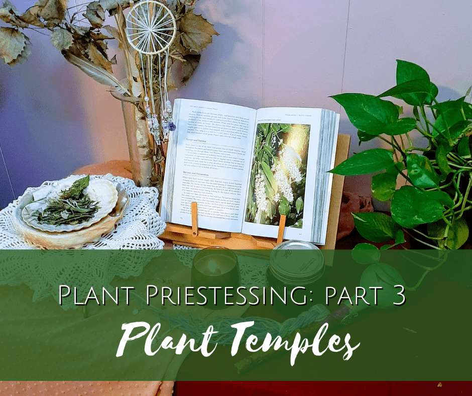 Plant Priestessing (part 3): Plant Temples | Erin LaFaive