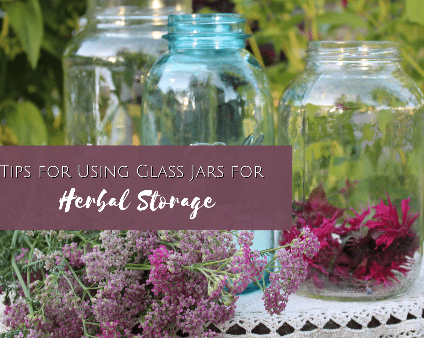 Tips for using glass jars for herb storage | Erin LaFaive