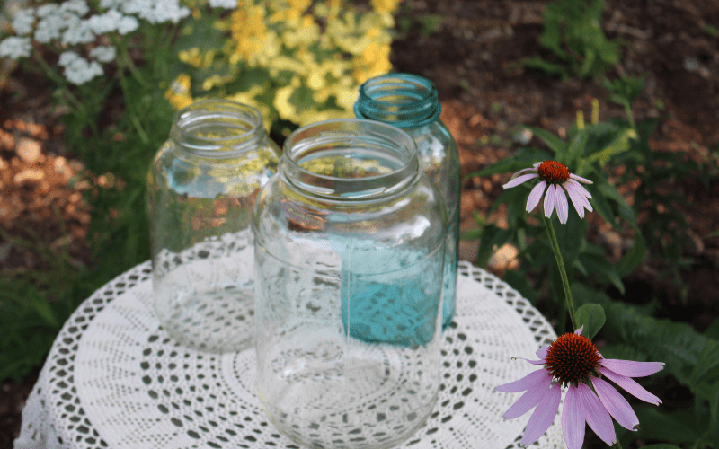 three jars on a table with a dollie, echinacea flowers near
