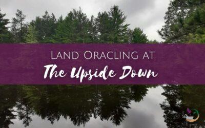 Land Oracling at the Upside Down | Erin LaFaive