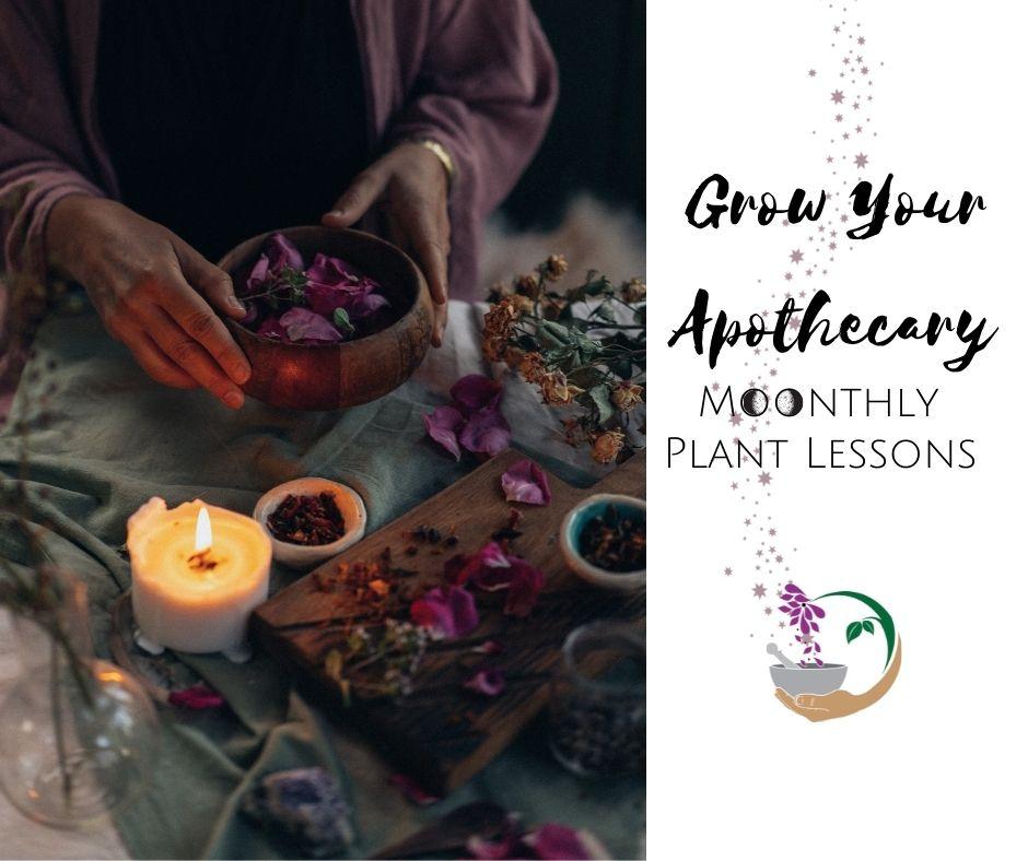 grow your apothecary moonthly plant lessons