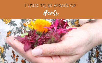 I used to be afraid of herbs | Erin LaFaive