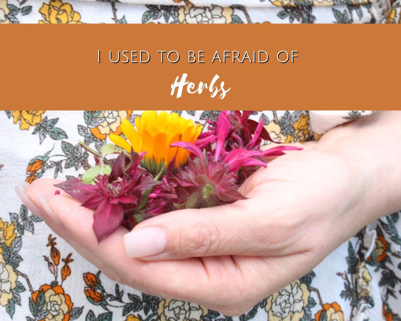 I used to be afraid of herbs | Erin LaFaive
