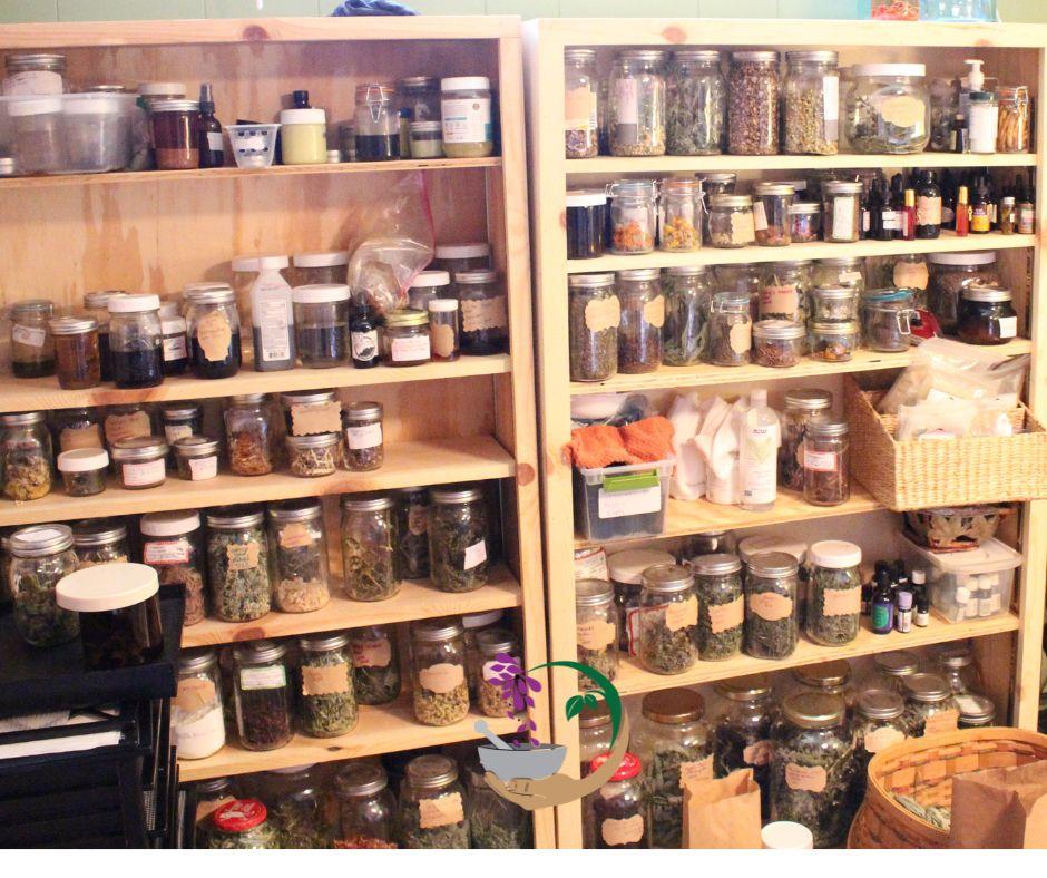shelves with jars of herbs and herbal remedies<br />
