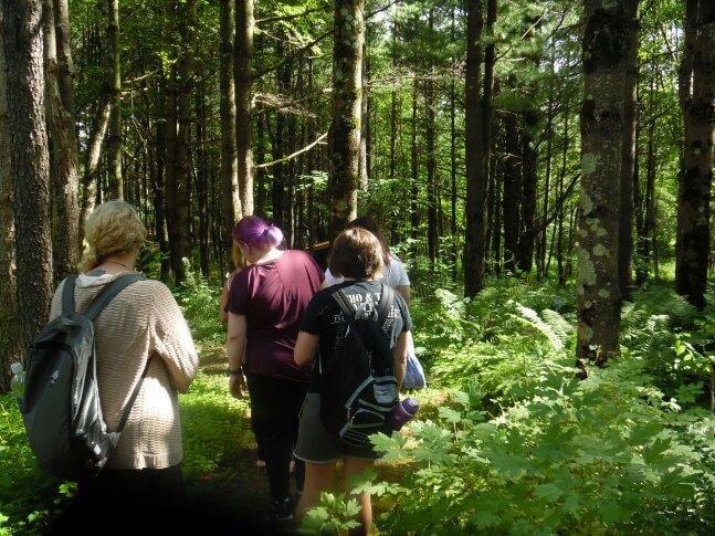 people walking on a path in a wooded area looking at plants