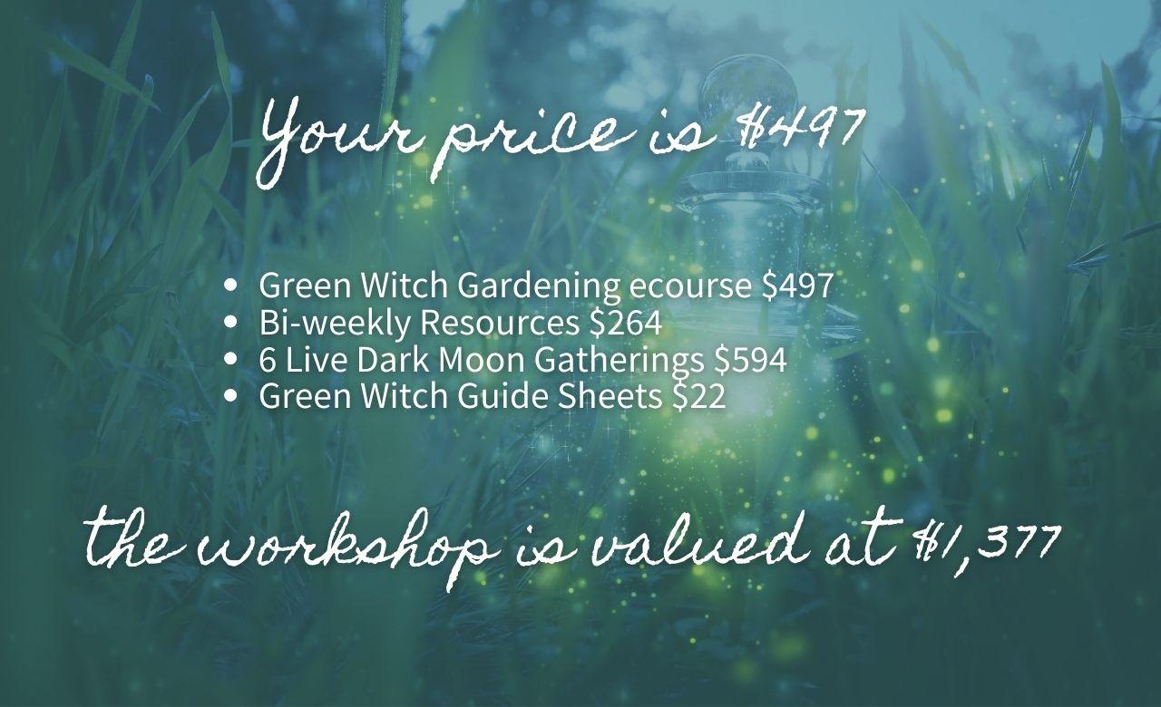 Your price is $497<br />
the workshop is valued at $1,377
