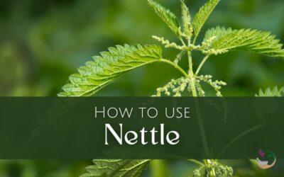 How to use nettle | Erin LaFaive